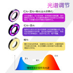 전체 스펙트럼 개폐식 LED 수조 조명 채우기 라이트 데스크탑 수족관 즙이 많은 식물 성장 빛 마이크로 조경 : buymate