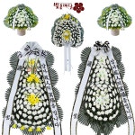 송탄중앙병원장례식장근조화환 화환 당일배송 : 근조화환 카네이션 꽃바구니