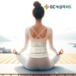 녹십자MS 디스크잭 W 라인 공기압 척추 허리보호대 지지대 체형교정 자세교정밴드 : 메디트리