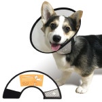 강아지 목보호대 7호 넥카라 깔대기 핥기방지 애견 : 칠공주네막내아들