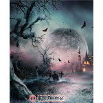 H5164 할로윈파티 현수막 / 어린이집 할로윈데이 할로윈 포토존 장식 1회 수정 가로형 소 : 파티붕붕