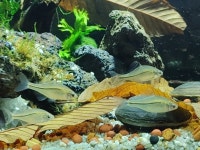 수정바위레이아웃 : 적랑의 수정바위공방