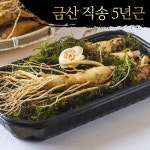 실속형 금산 인삼꽃+수삼5뿌리 내외 선물세트 300g : 한가람건강원