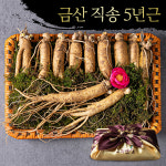 5년근 금산 인삼 수삼 명절 선물세트 750g : 한가람건강원