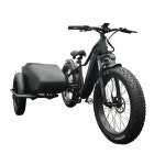 수입자전거 빈티지 전자 자전거 사이드카 500W Black : 야베스3JabeZ
