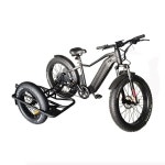 수입자전거 빈티지 전자 자전거 사이드카 500W Black : 야베스3JabeZ