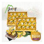 [산지애] 황금사과 시나노골드 3kg 2box / 중과, 청송산 , 당도선별 12brix ↑ : 롯데아이몰