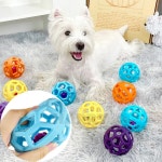 HARRY 강아지 놀이용 방울공 애견공 강아지탱탱볼 : 해리가게