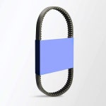 2024-0201-1135 | 1130239 Replacement Belt for Allis Chalmers Or Gleaner Drive : 베르31