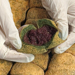 통팥 앙금이 듬뿍 들어간 쫀득쫀득 콩달떡 콩쑥개떡 : 명가삼대떡집