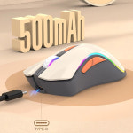 XYH52 2.4G 무선 기계식 RGB 게이밍 마우스 1 천만 키 스트로크 3200DPI 11 조명 모 : 식식2마트