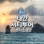 태안시티투어 여행(현지집결) : 그린데이투어