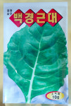 백경근대 10g 동원 씨 종자 다채 치커리 겨자 시저스 상추 비타민채 케일 : 농사친구 스토어