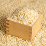 2025년 햅쌀 오분도미 5kg 오분도쌀 단일품종 상등급 : 주식회사 현대농산