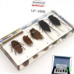 GS 성장표본매미 과학교실 : 그린스완몰