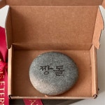 반려돌 짱돌 애완돌 키우기 웃긴 선물 애완돌키우기 애완돌맹이 : 일구구7