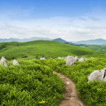 부관훼리 패키지 일본 큐슈 야마구치 특급 온천 료칸 시모노세키 기타큐슈 고쿠라 여행 4일 : 인스앤 이잼투어