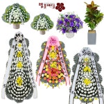 창원근조화환 창원시성산구장례식장화환 조화배달 : 근조화환 카네이션 꽃바구니