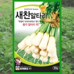 알타리 씨앗 새찬알타리 30g 가을 김장 알타리무 : 파머씨드