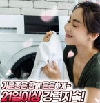 워시테라피 캡슐 세제 다우니 향 : 양파마켓 해미리점