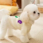 Apple 강아지 니트 : 이보개