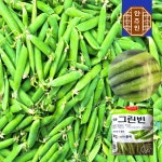 냉동 그린빈스 1kg 그린빈 줄기콩 껍질콩 : 안주인mall