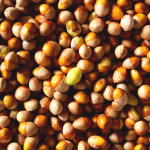 깐은행 24년 열매 국산은행 250g 500g 1kg : 아산율림