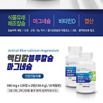 가이아링크 일양 액티칼 블루칼슘 마그네슘 활력 활기 에너지보충 660mgx120정 2통 : 가이아링크