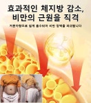1+1 대인기 두바이 초콜릿 핸드메이드 초콜릿 피스타치오 초콜릿 : 아시아신무역 주식회사