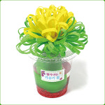 향기나는자연증발가습기만들기5인용 : 실험나라