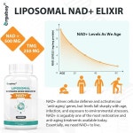 Orgabay 리포좀 니코틴아마이드 500mg 소프트젤 : 쇼핑이지easy