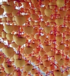 정은건강식품곶감 : 정은HAIR 초전동