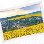 거실 명화퍼즐 가족 취미 선물용 방꾸미기 직소 인테리어 : Jiny