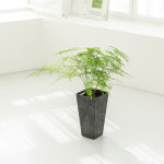 아트스톤 인테리어화분 거실 원형 분갈이화분 플라스틱 저면관수 화분 텔엘라 26cm : 데팡스 홈가드닝 종합쇼핑몰