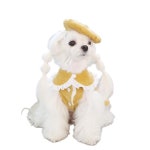 골덴 순면 프린세스 애견 원피스 머스타드 시추 튜튜 : 비에스케이102