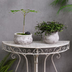 데팡스 인디볼 다육이화분 빈티지 가드닝 인테리어 화분 : 데팡스 홈가드닝 종합쇼핑몰