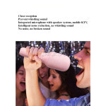 커스텀 마이크 무선 블루투스 K9 휴대폰 오디오 통합 노래방 유물 선물 : 썸마켓09