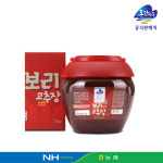 영월농협 동강마루 국산 보리고추장 2kg, 1개 : 꿀비야