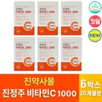 진약사몰 진정주몰 진정주 약사 약국 비타민C 비타민씨 대용량 온가족 영양제 건강기능식품 : 녹돌 씨