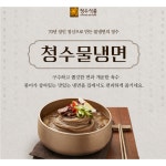 청수 식품 물냉면 20g, (팩당 4인분) / 총 40인분(면, 육수, 겨자소스포함) : 톨이샵