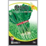 열무씨앗 30g 향단이 열무 씨앗 종자 무씨 채소 : 파머씨드