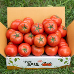 완숙 토마토 5kg 찰토마토 주스용 쥬스용 : 대한민국농수산