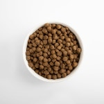 베스트브리드 강아지 사료 시니어 다이어트 치킨, 1.8kg, 1개 : 프리미엄 수입사료 한국총판