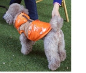 반려동물 겨울 강아지 유광 훈련 외출 후드 잠바 점퍼 자켓 파카 방한복 : 플레쉬