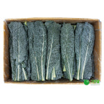 뉴그린(1.8kg - 2kg) : 싱싱채소 그린팜