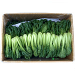 비타민(1.8kg - 2kg) : 싱싱채소 그린팜