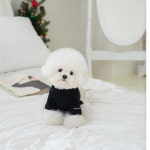 어도러블독 피치 기모 터틀넥 블랙 : 어도러블독