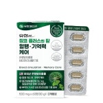 [유한메디카] 징코 플러스 엔 탑 혈행 기억력 케어 3박스(6개월분)[34783161] : NS홈쇼핑 TV홈쇼핑