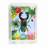 초등 봄 곤충 만들기 어린이집 유치원 부모님 학생 미술키트 1학년 : 잇닷