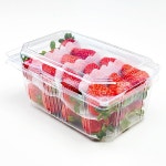 사각과일포장용기 DA-309 방울토마토750g 캠벨300g 사과대추700g 500개 : 가락팩